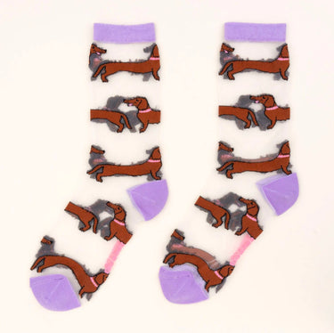Chaussettes Transparentes Teckel